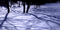 picture001