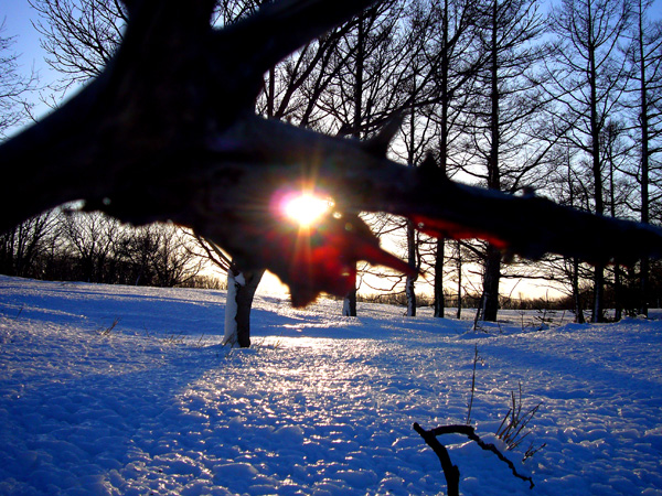 picture003