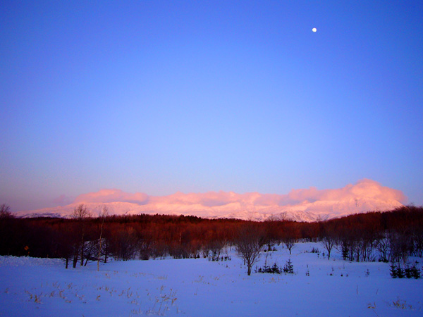 picture004
