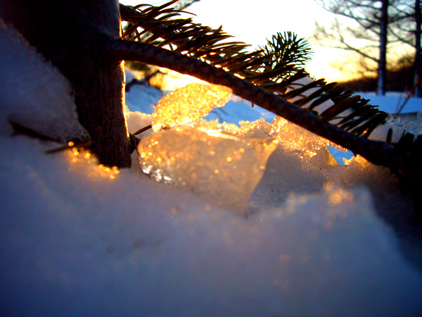 picture005