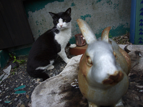 picture008