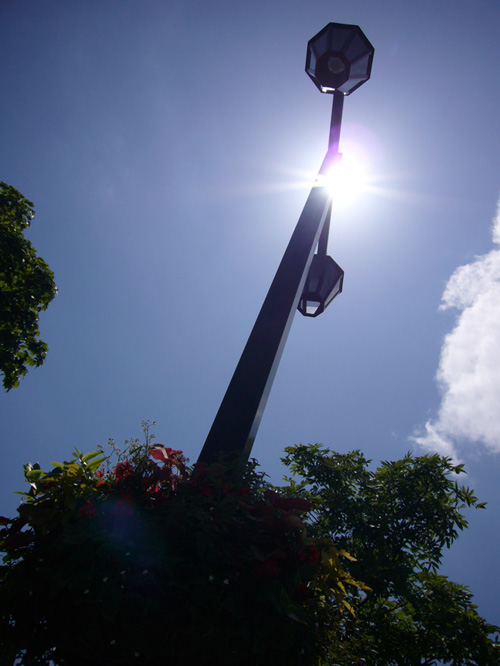 picture015